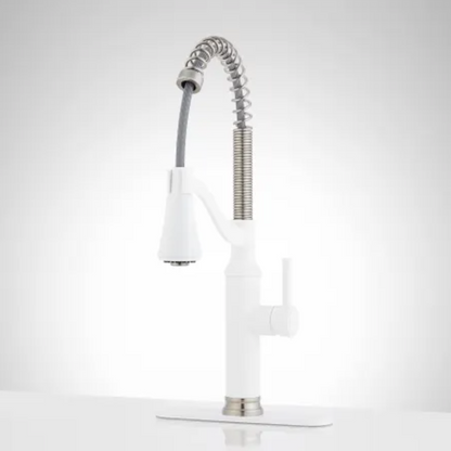 Signature Hardware Caribana 1.75 GPM Single handle Kitchen Faucet